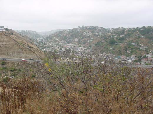 View of Los Laureles Canyon, in Tijuana; Mexico's Highway 1 in the foreground