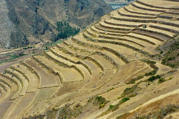 Ancient agricultural terraces in Pisac, Cuzco, Peru (1995). 