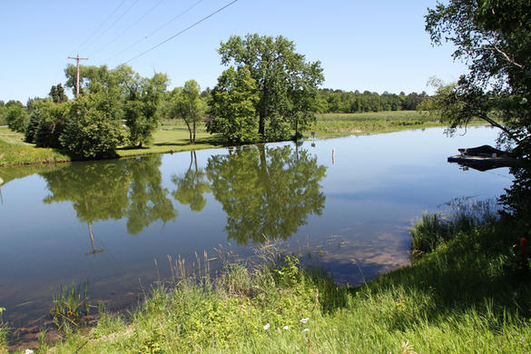 Misisipí river near Bemidji, Minnesota